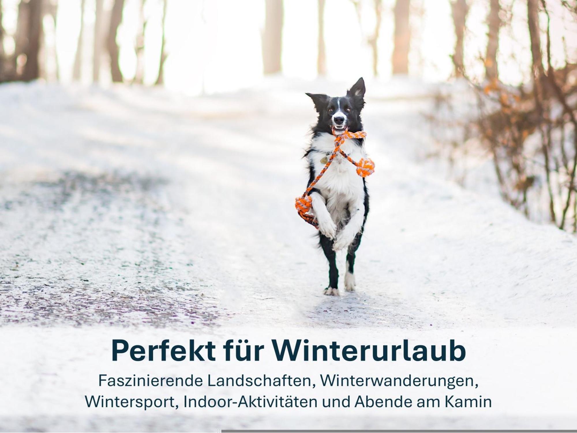 Ferienwohnung Ursel Heringsdorf  Exteriér fotografie